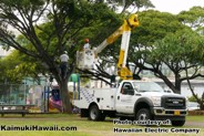 Hawaiian Electric volunteers in action